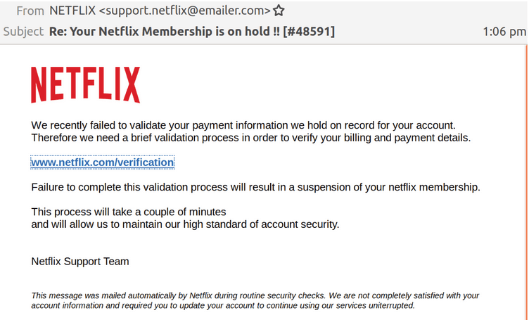 Netflix Scam